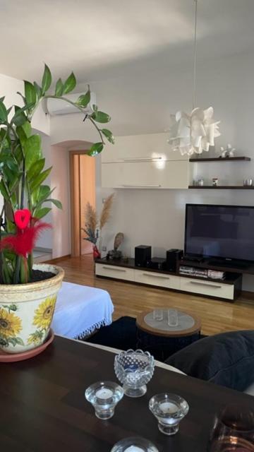 Apartment Marina 리예카 외부 사진